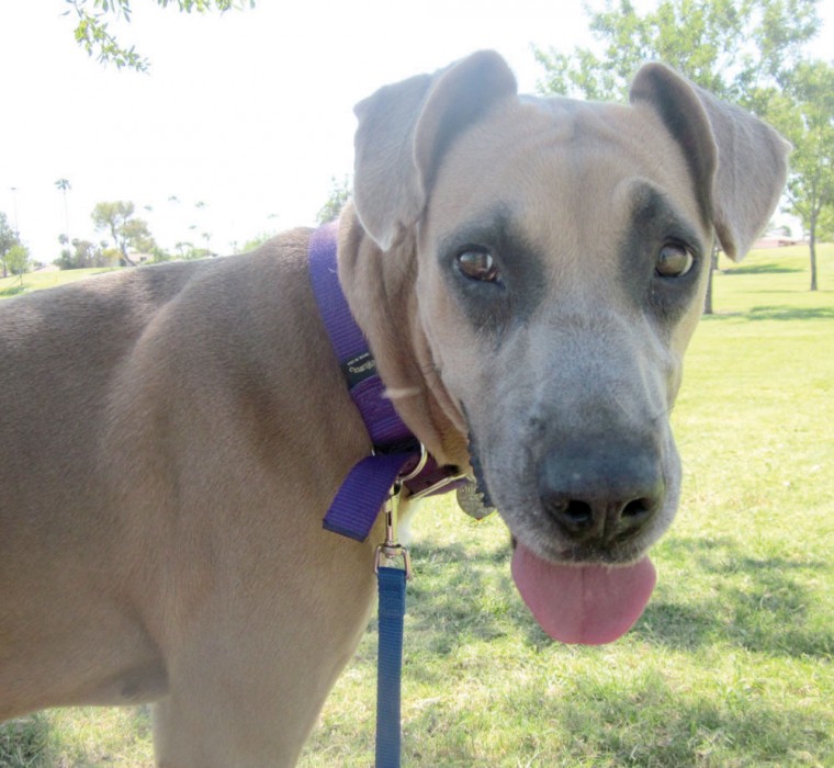 Someone to love: Xena
